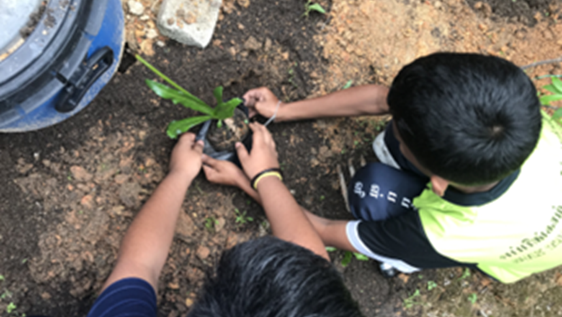 Free Tree Society Kuala Lumpur